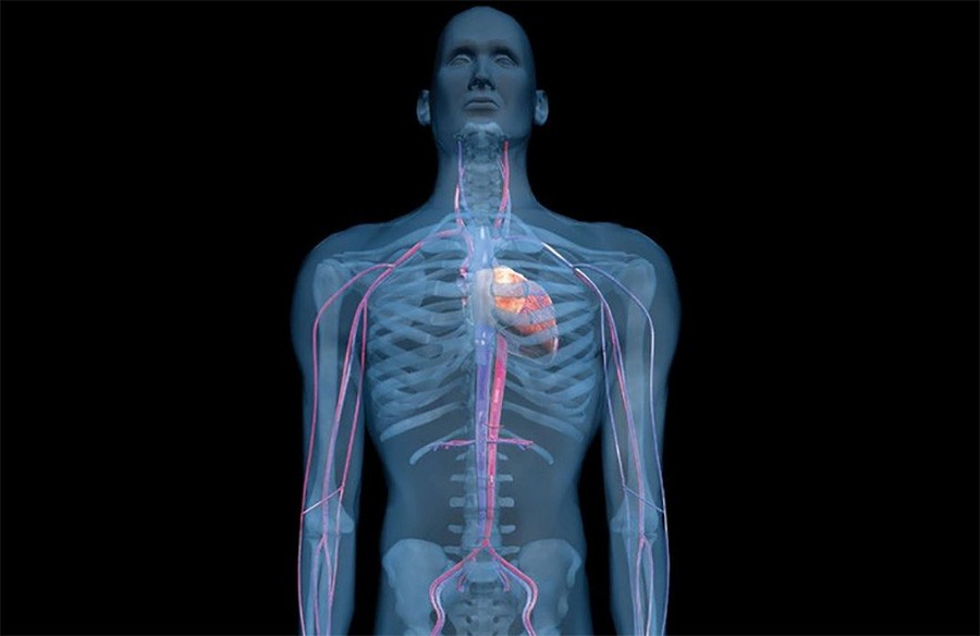 USPJEH IZRAELSKIH NAUČNIKA Pogledajte prvo štampano 3D srce s ljudskim tkivom i krvnim sudovima (VIDEO)