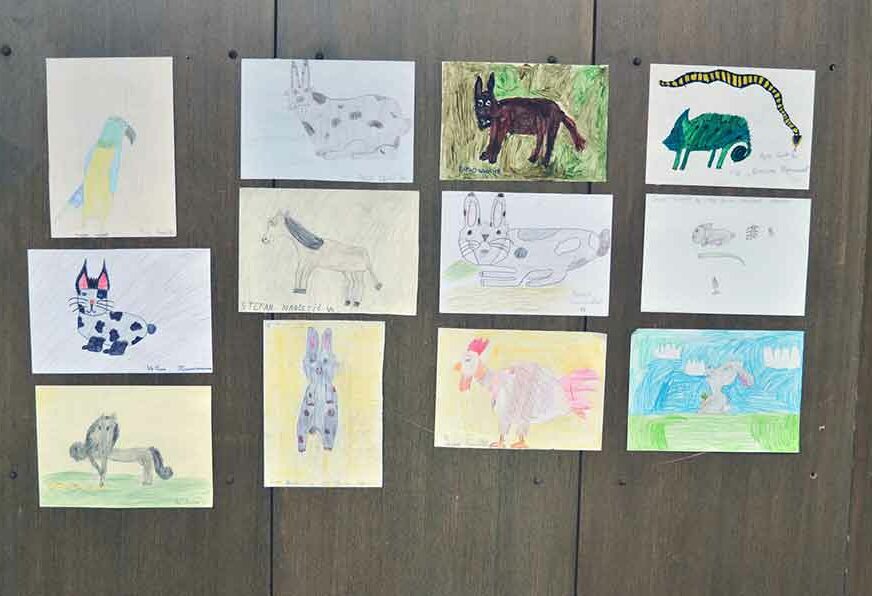 Više od 300 crteža na papiru: U Prijedoru otvorena likovna izložba o sitnim životinjama