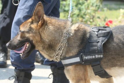PRETRESI U DOBOJU Policijski pas pronašao drogu