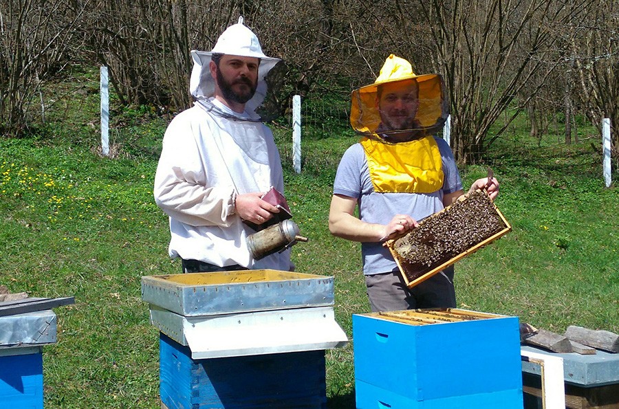Nastavnici pronašli ŽIVOTNI PUTOKAZ u uzgoju pčela: Ni nakon 70 UJEDA nisu odustali, evo kako povezuju ove jedinke i Vaskrs
