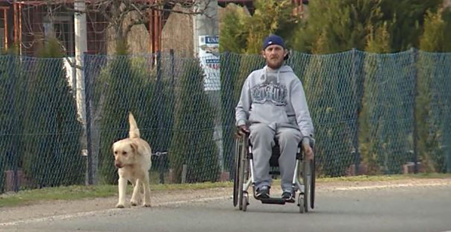 LABRADOR VRATIO VJERU U ŽIVOT Nakon teške povrede Zlatko je naučio sve o psima i sada ih dresira