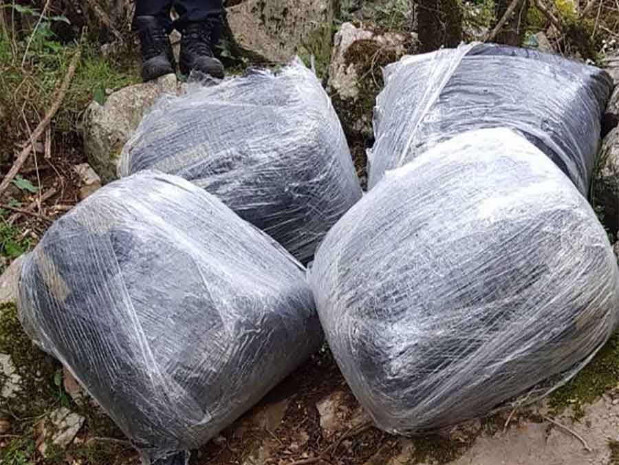 Narkodileri iz Podgorice uhvaćeni sa 54 kilograma skanka
