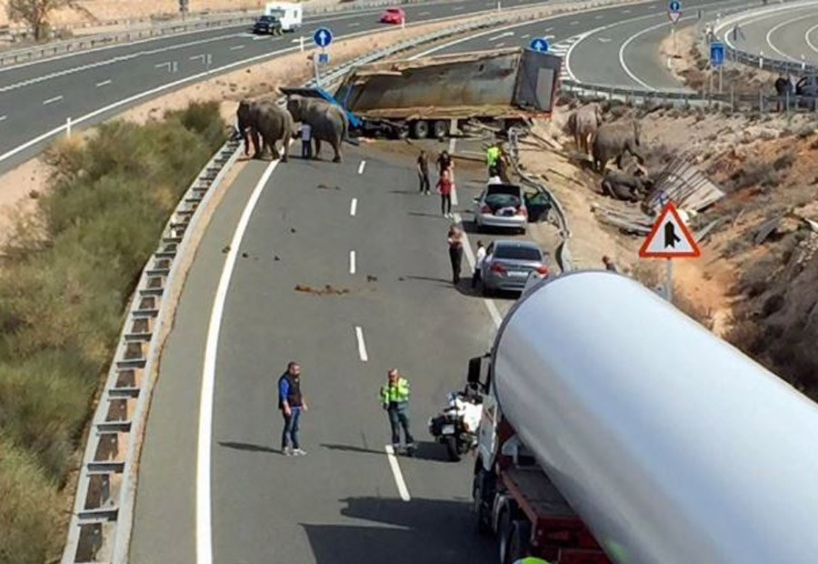 Nesreća u Španiji: U sudaru jedan SLON stradao, dva povrijeđena (VIDEO)