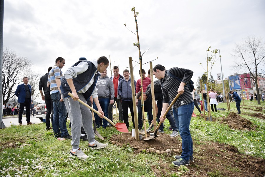 ALEJA MATURANATA Vrijedni srednjoškolci sade drvored u Lazarevu