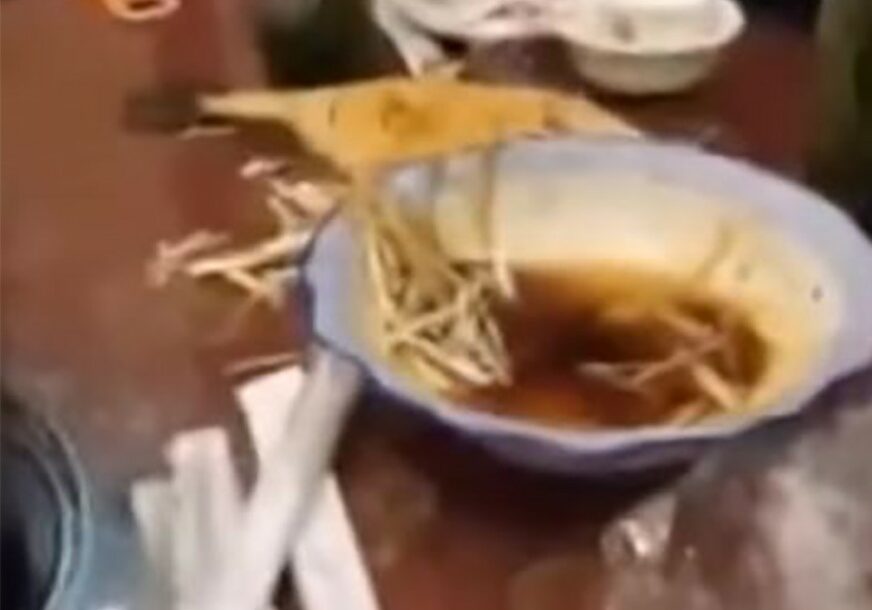 JAKO SVJEŽA Naručio ribu u restoranu a ona je odlučila da POBJEGNE
