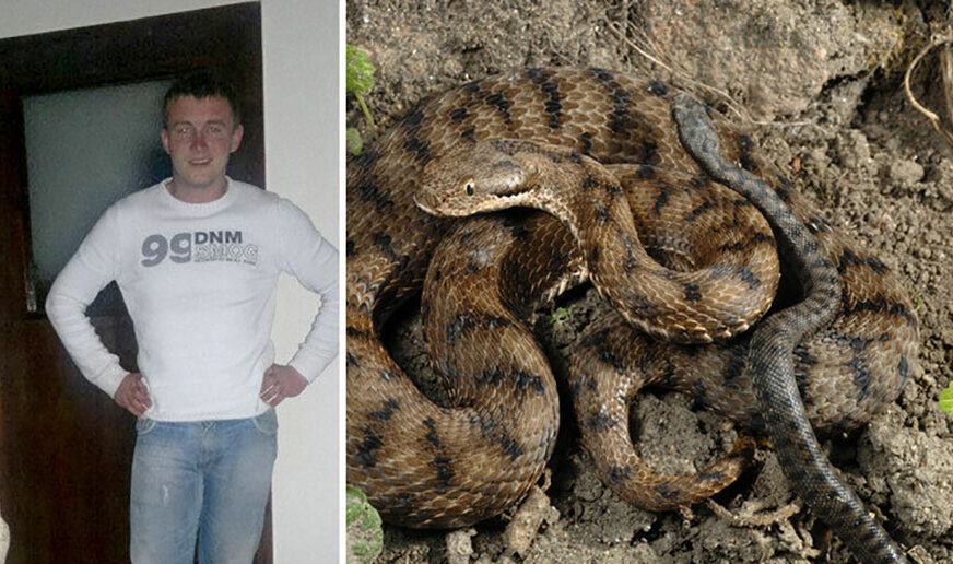 NESLAVAN REKORD Rogatičanina su čak pet puta UJEDALE ZMIJE, a on na to kaže: "ISTO KAO DA TE UBOLA PČELA ILI OSA"