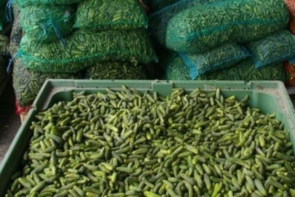 Povećano prisustvo pesticida: Zabranjen uvoz krastavca iz Sjeverne Makedonije