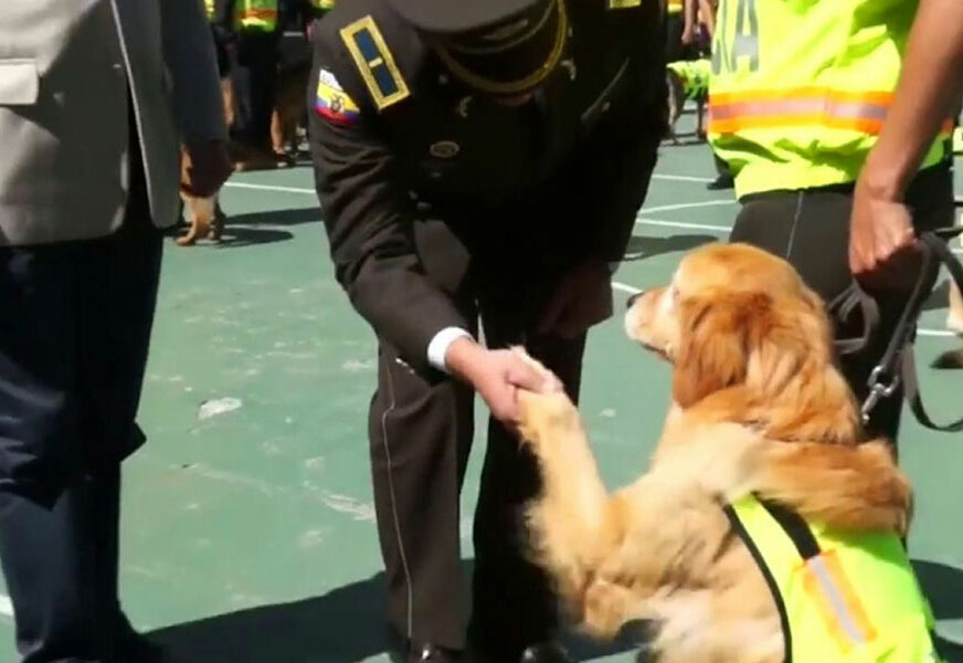 ČETVORONOŠCI NA CRVENOM TEPIHU Policijski psi uz zvuke nacionalne himne svečano ISPRAĆENI U PENZIJU