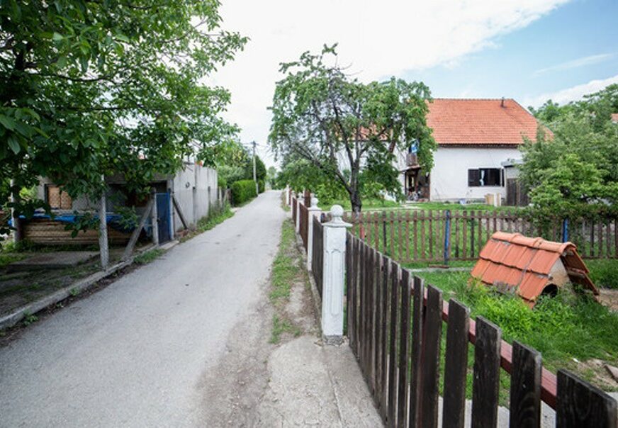 Foto: Uroš Arsić/RAS Srbija