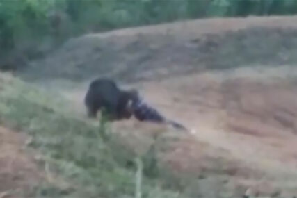 SELFI GA KOŠTAO ŽIVOTA U povratku s vjenčanja naišao na povrijeđenog medvjeda, stradao dok je pokušavao da se USLIKA S NJIM
