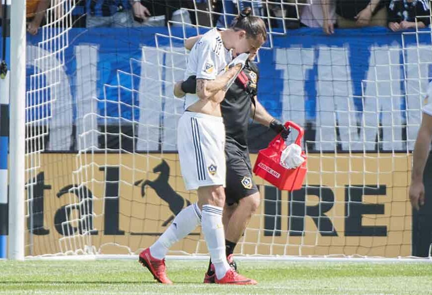 GOLMANA UHVATIO ZA VRAT I BACIO NA TRAVU Ibrahimović suspendovan na dvije utakmice i to NIJE SVE