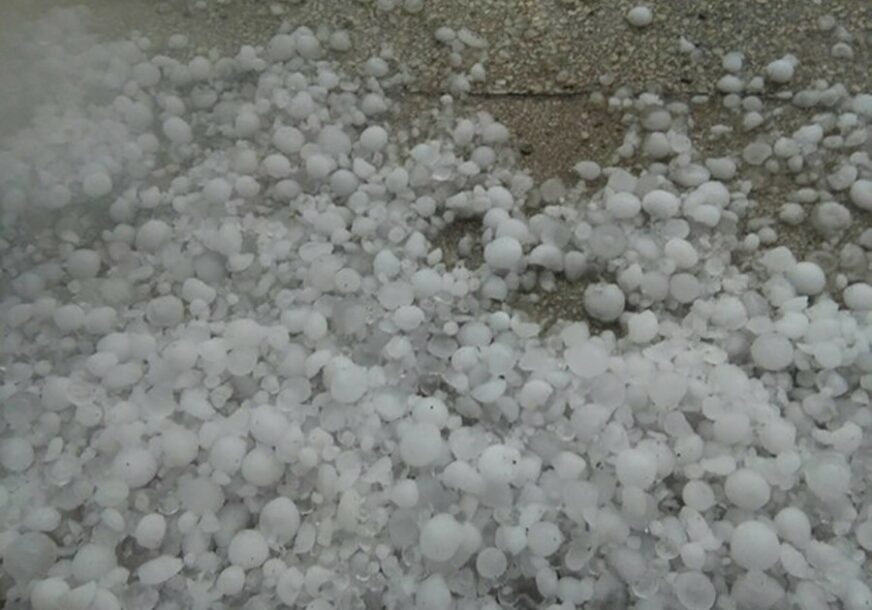 Foto: V. Lojanica / RAS Srbija