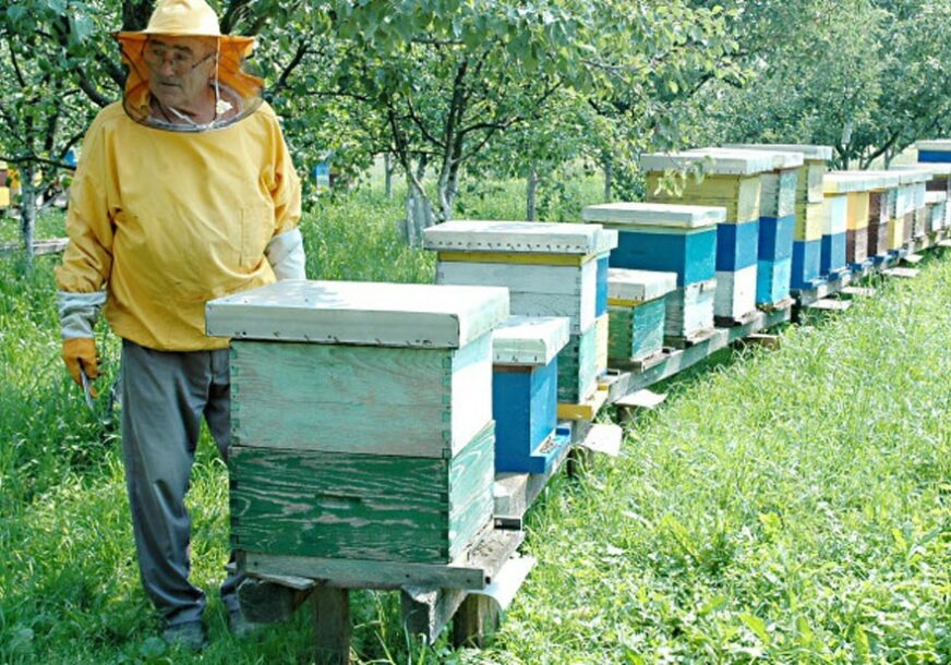 Ilija se pčelarstvom bavi 12 godina: Druženje sa pčelama ZDRAV I KORISTAN HOBI koji produžava život