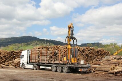 ŠTETA OD 3 MILIONA KM Iz šuma Srpske godišnje se ukrade od 15 do 20.000 kubnih metara sirovog drveta