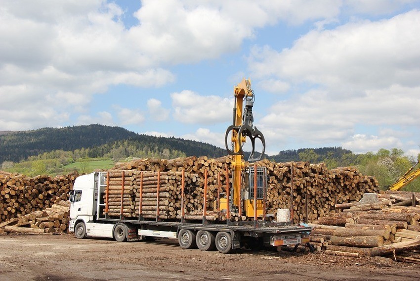 "PODSTICAJ ZA INDUSTRIJU" Zabraniti izvoz drveta i uvesti takse na izvoz rezane građe