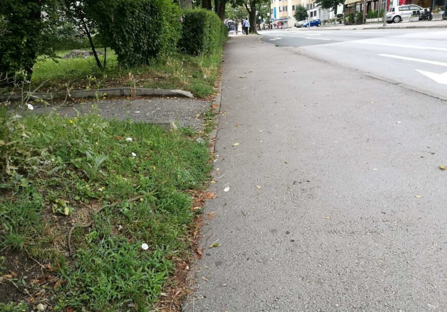 Foto: Dejan Božić/RAS Srbija