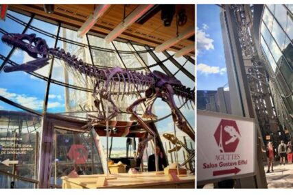 Pariz: Skelet dinosaurusa prodat za 2,3 miliona dolara (FOTO)