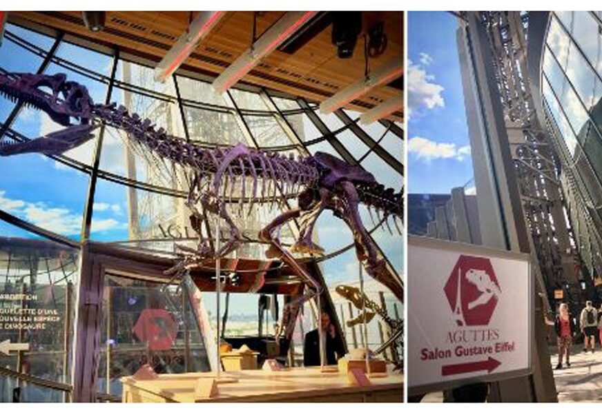 Pariz: Skelet dinosaurusa prodat za 2,3 miliona dolara (FOTO)