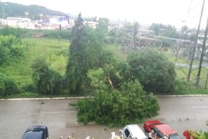 NEVRIJEME U DOBOJU Jaka oluja čupala drveće (FOTO)