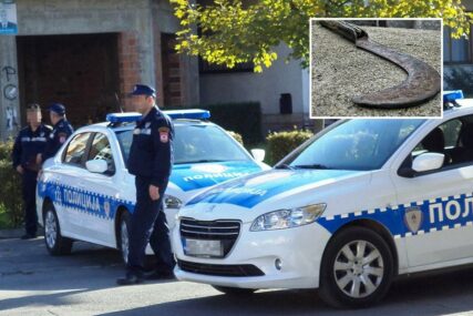 SUGRAĐANINA IZBO KOSIJEROM Uhapšen nakon nanošenja teških povreda radniku Granične policije BiH