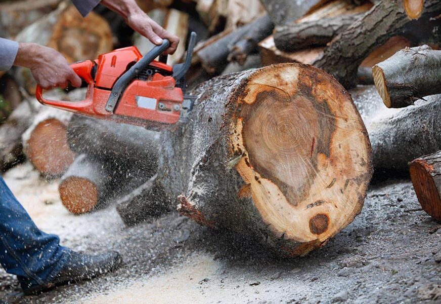 Inspektori češljaju pilane: Od početka godine oduzeta 962 metra kubna drveta