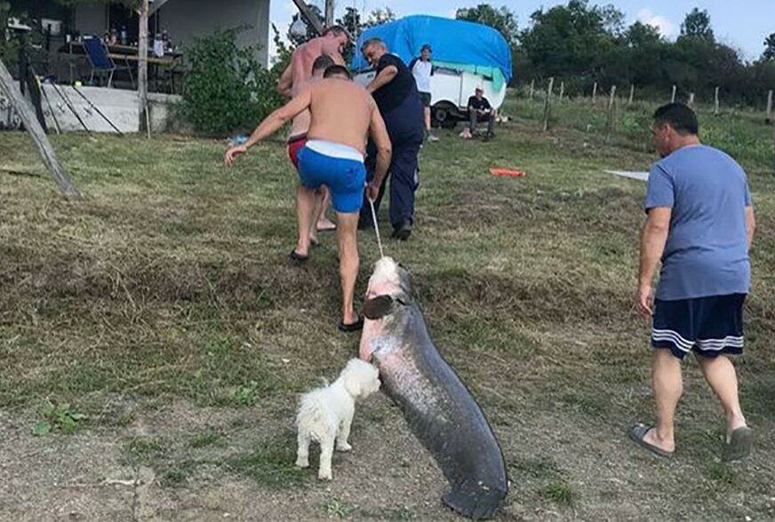Foto: Privatna arhiva
