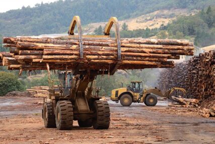 LAKŠE DO ZAHTJEVNIH ZAPADNIH TRŽIŠTA Šta za drvnu industriju u BiH znači prvi FSC standard u regionu