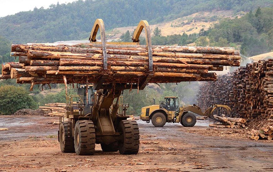 LAKŠE DO ZAHTJEVNIH ZAPADNIH TRŽIŠTA Šta za drvnu industriju u BiH znači prvi FSC standard u regionu