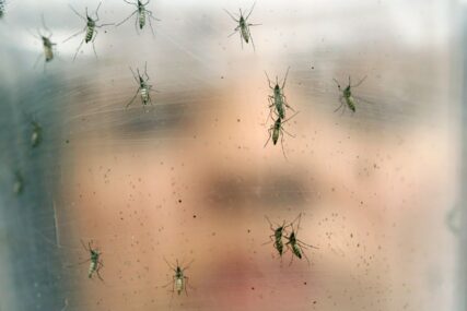 KIŠA POGODUJE RAZVOJU U Semberiji počelo uništavanje komaraca