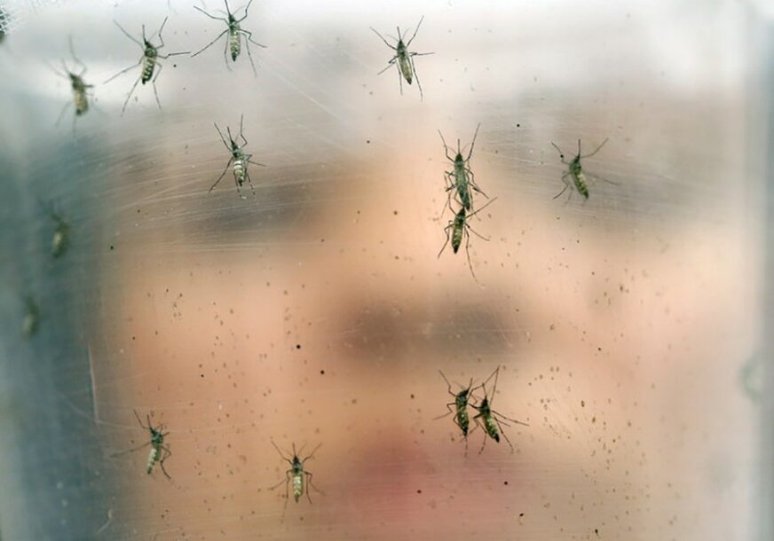 KIŠA POGODUJE RAZVOJU U Semberiji počelo uništavanje komaraca