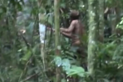 POSLJEDNJI AMAZONAC Jedini preživjeli pripadnik plemena snimljen nakon što je 22 godine živio sam u džungli (VIDEO)