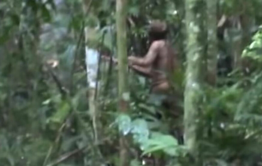POSLJEDNJI AMAZONAC Jedini preživjeli pripadnik plemena snimljen nakon što je 22 godine živio sam u džungli (VIDEO)
