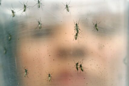 NAJRUŽNIJA STRANA LJETA Komarci i insekti ponovo NAPADAJU U ROJEVIMA, u srijedu zaprašivanje