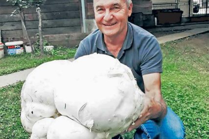 “NEŠTO BIJELO NEOBIČNOG OBLIKA” Pečurka od 5,9 kilograma nahranila 30 KOMŠIJA u Bajinoj Bašti