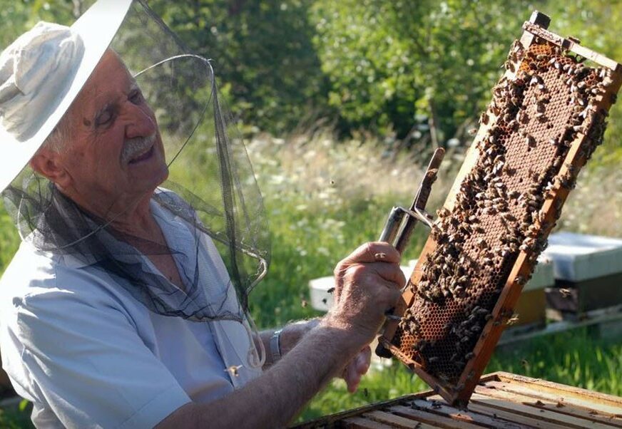 “ONE SU ZLOPAMTILA, ALI I ODLIČNI METEOROLOZI” Tuzlak pet decenija druguje s pčelama i zadovoljno TRLJA RUKE