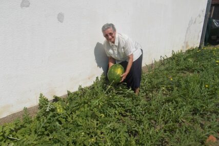 LUBENICE IZ BETONA Baka iz kotorvaroškog sela na neobičan način uzgaja ukusno voće