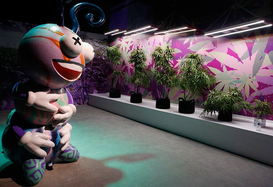 Foto: John Locher/Tanjug/AP