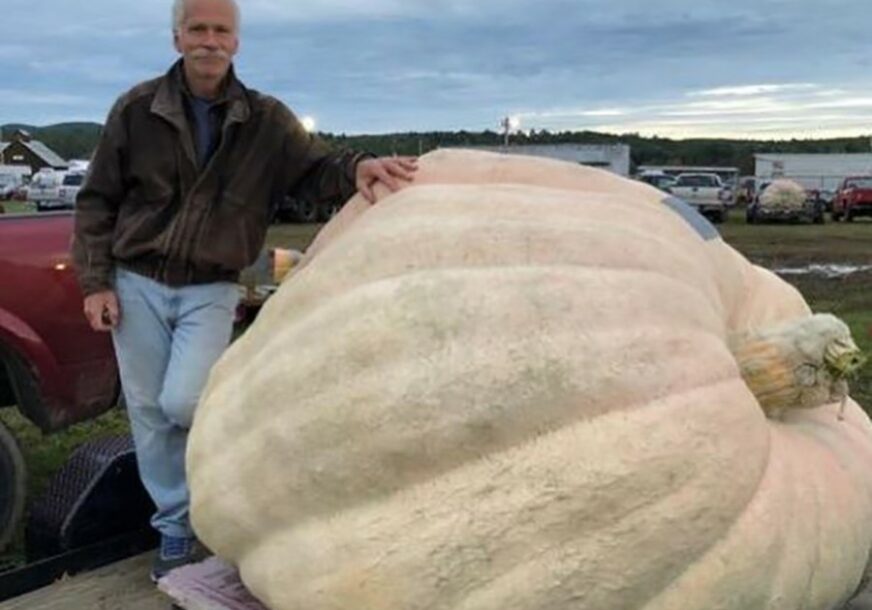 MOŽE DA NAHRANI CIJELI GRAD Amerikanac uzgojio DŽINOVSKU TIKVU (FOTO)