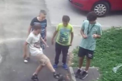 “STIDITE SE MAJKE I OČEVI” Dječak se IŽIVLJAVAO nad mačkom, njegovi vršnjaci sve to nijemo posmatrali i RAZLJUTILI društvene mreže (FOTO)