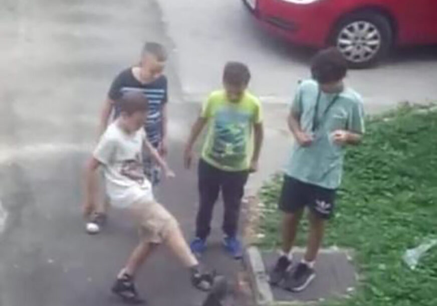 “STIDITE SE MAJKE I OČEVI” Dječak se IŽIVLJAVAO nad mačkom, njegovi vršnjaci sve to nijemo posmatrali i RAZLJUTILI društvene mreže (FOTO)