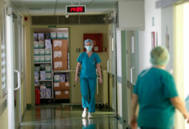 Virus Zapadnog Nila odnosi nove žrtve u Evropi: U Holandiji preminule još četiri osobe, epidemija vjerovatno dostigla vrhunac