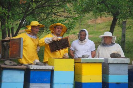 Policiji prijavljen požar: U Gacku izgorjelo 20 pčelinjih društava