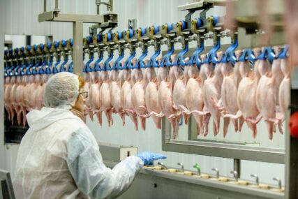 Četiri kompanije iz BiH za mjesec i po počinju izvoz piletine u zemlje EU