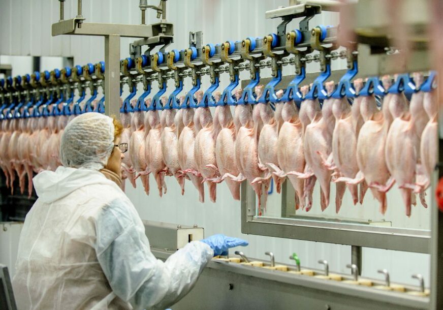 Proizvodnja piletine raste, dok svinjetinu, jagnjetinu i junetinu sve manje jedemo