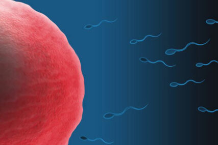 JASNA PRAVILA Ne možete biti donor sperme u Srbiji ako imate TETOVAŽU ILI PIRSING