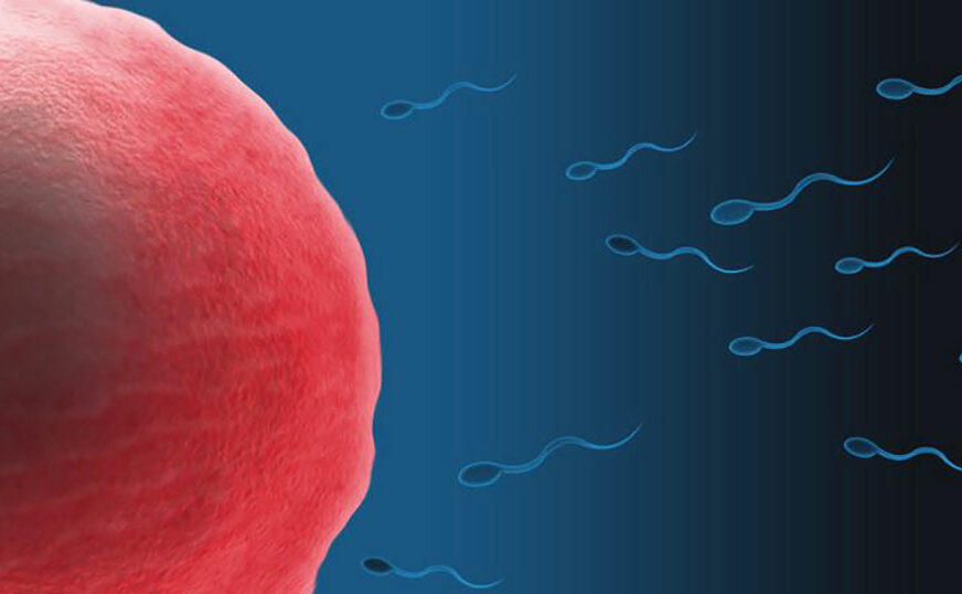 JASNA PRAVILA Ne možete biti donor sperme u Srbiji ako imate TETOVAŽU ILI PIRSING