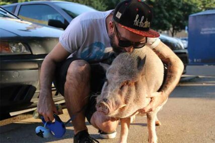 Zagrepčanin živi u stanu sa SVINJOM OD 65 KILA: "Spava sa mnom u krevetu" (FOTO)