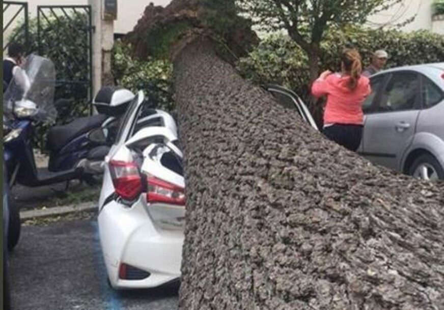 OLUJA POHARALA ITALIJU Najmanje 17 žrtava, većina je izgubila život zbog oborenih stabala
