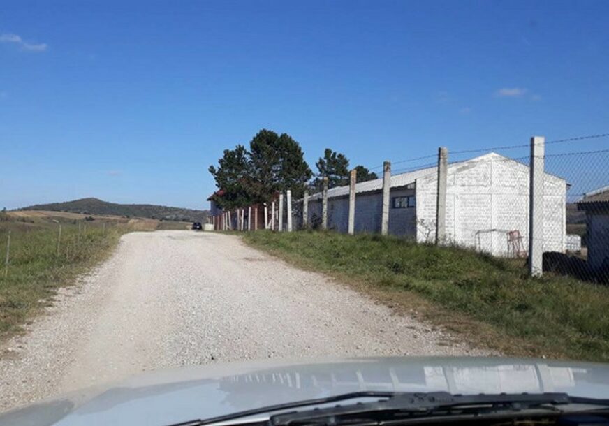 PIJANI VOZAČ OTRČAO U ŠTALU DA SE OBJESI Mališan (4) htio da pretrči ulicu kada ga je auto bacio preko haube