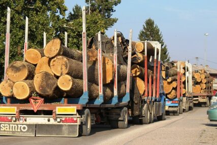 Šumarstvo u Republici Srpskoj: Pad proizvodnje i prodaje
